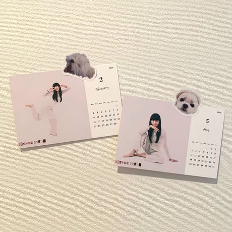 BRUNCH STYLE：PHOTO CALENDAR 2026 〈白レイナさん〉