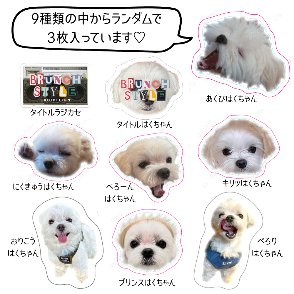 ぶらすた展：ランダムステッカーセット | ZIP-FM OFFICIAL STORE