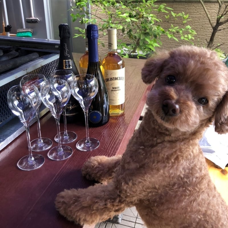 Balloon バルーン | italesse ONLINE store