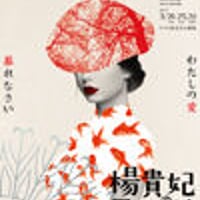 【DVD】楊貴妃の目覚めた杜