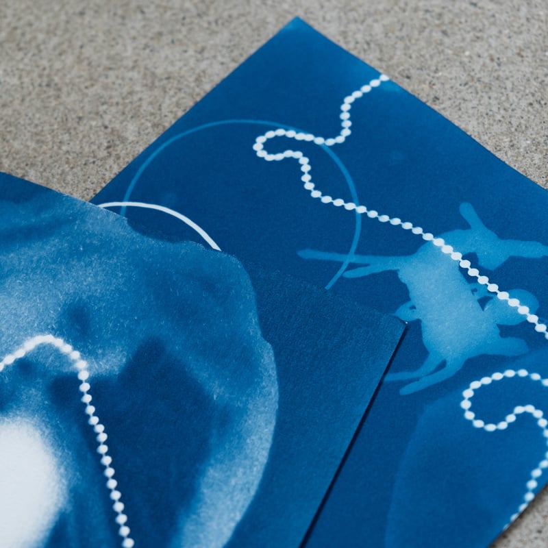 日光写真 サイアノタイプ体験キット | PARADISE BLUE