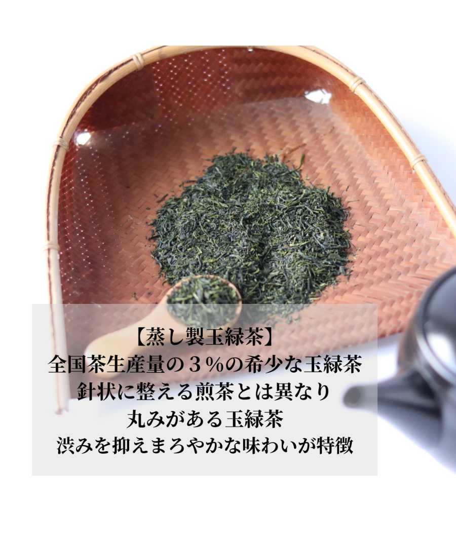 人気NO3 そのぎ茶 極上【長崎県優良特産品】 | まるせい酒井製茶