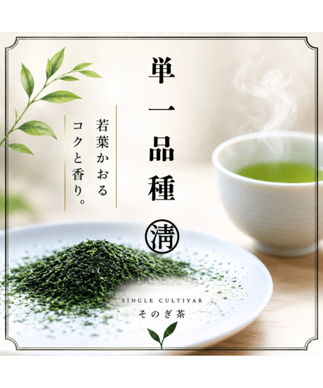 CATEGORY 玉緑茶・玉茶・創作茶・新茶 | まるせい酒井製茶