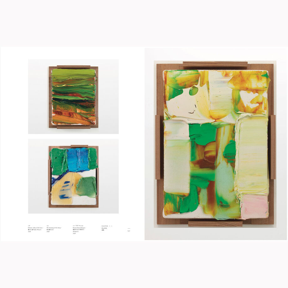 TOPICA PICTUS とぴか　ぴくたす 岡崎乾二郎 TOPICA PICTUS とぴか ぴくたす』 | urizen store