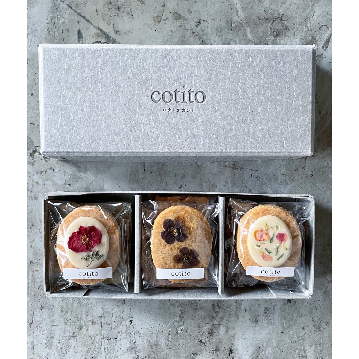 全巻セット Cotito 8/6発送】アイシングクッキーBOX(6種類/9種類/18種類) | cotito