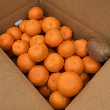 ITEM | 和田果樹園