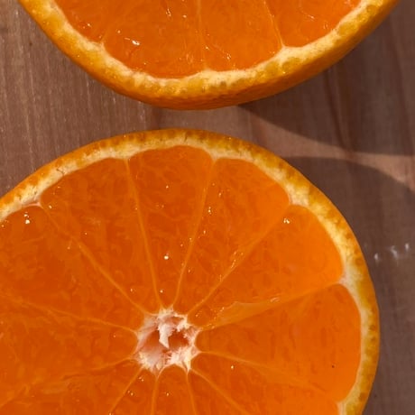 CATEGORY 温州みかん | 和田果樹園