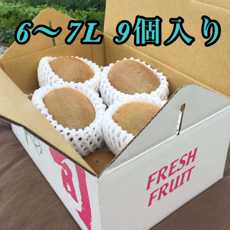 最高級品】キウイフルーツ 6L~7L 9個入り | 和田果樹園 最高級品】キウイフルーツ 6L~7L 9個入り | 和田果樹園