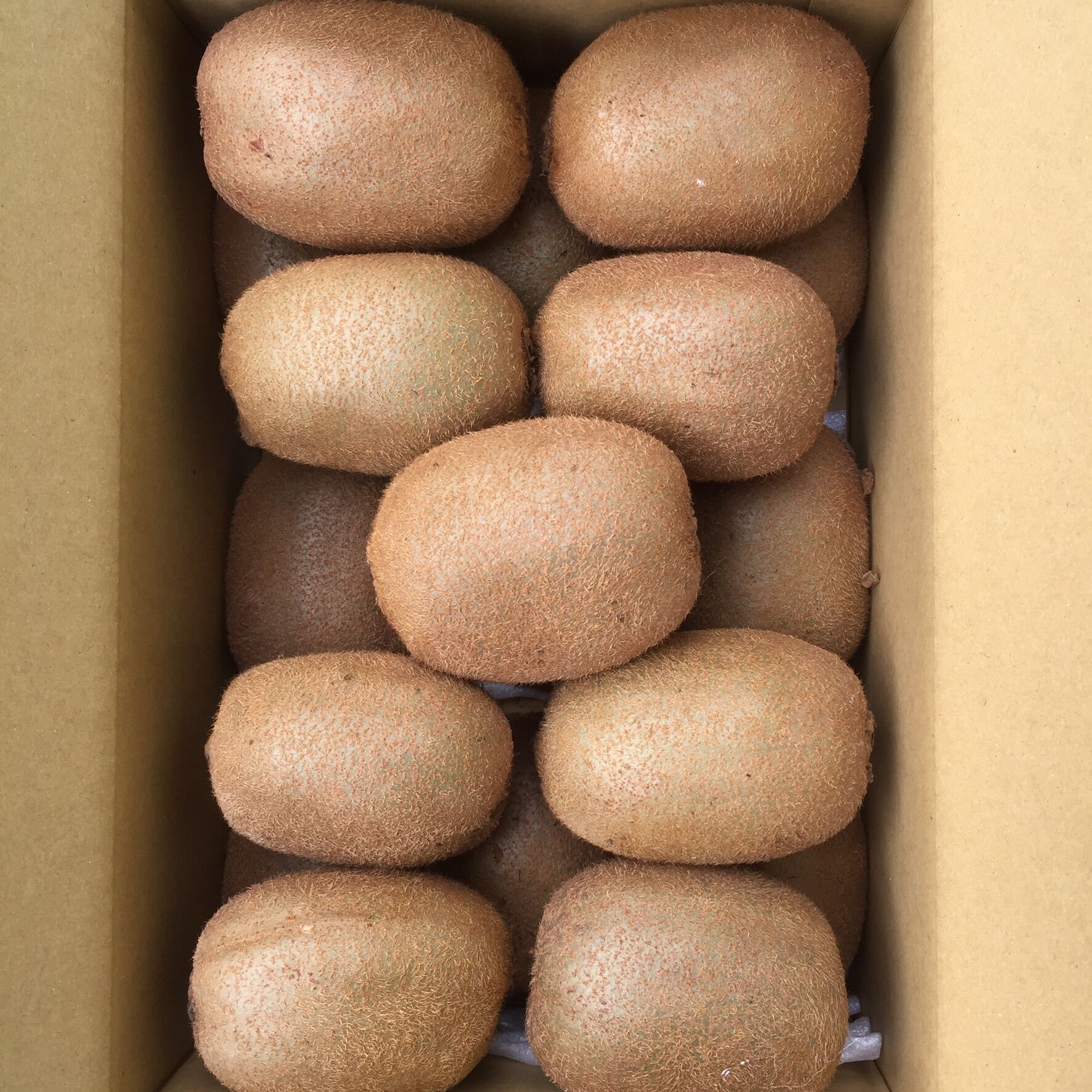 家庭用】和田果樹園のキウイフルーツ4L18個入り | 和田果樹園
