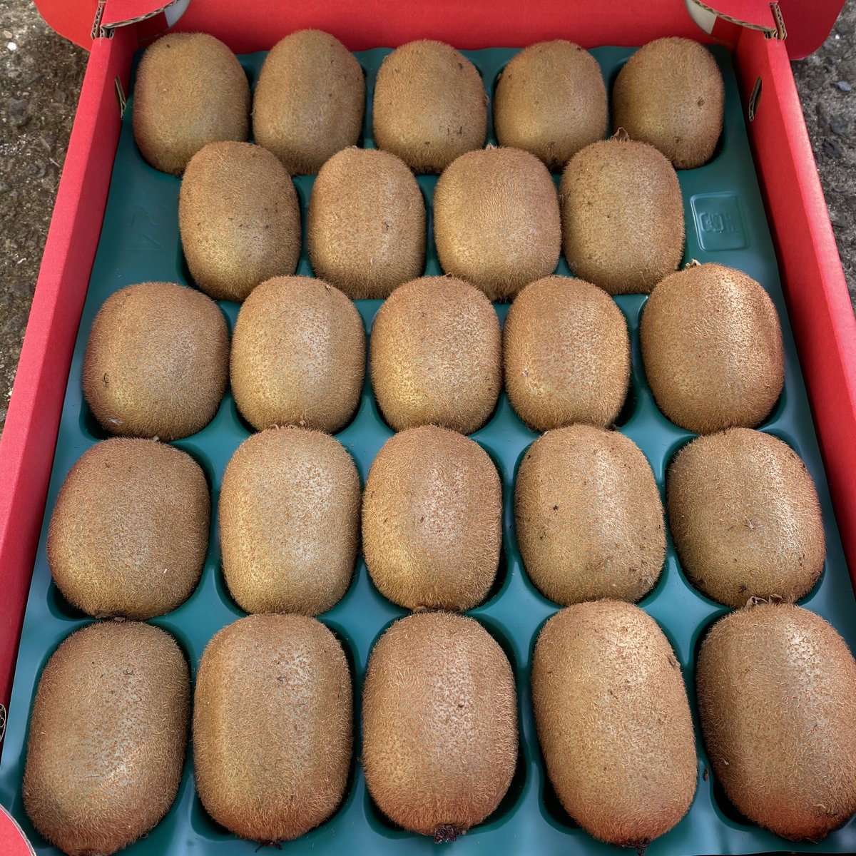 orange　芯が甘い！【二級品】和歌山県産キウイ 3L 22個2箱 fit=scale-down,w=1200