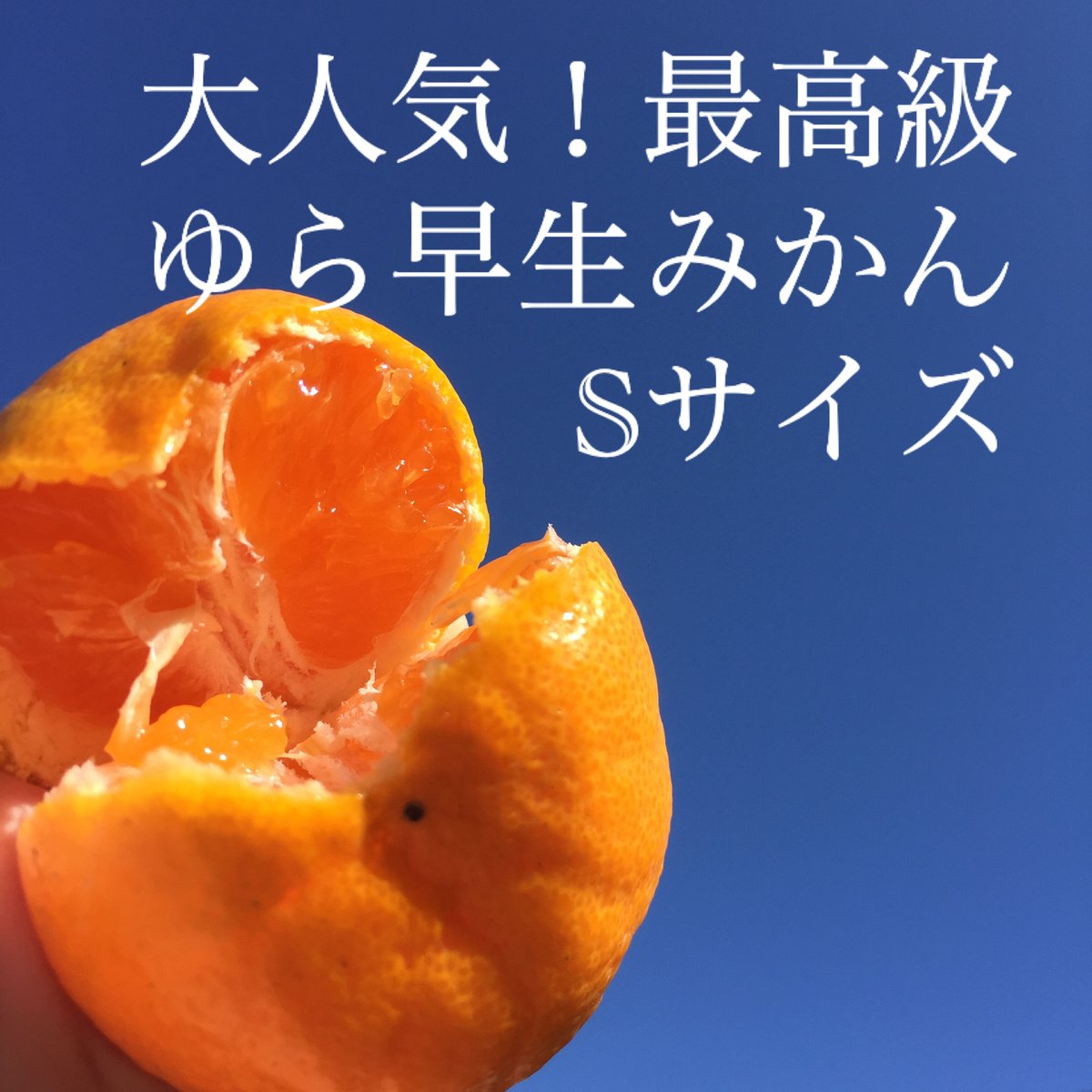 kei　和歌山県産ゆら早生みかん赤秀S5kg 2箱 贈答用 ゆら早生みかん Sサイズ 5㎏ | 和田果樹園