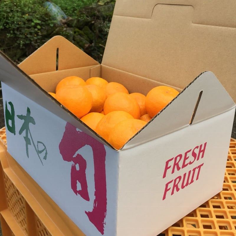 贈答用 ゆら早生みかん Sサイズ 2.5kg | 和田果樹園