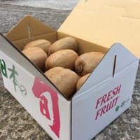 訳あり品】日焼けキウイフルーツ サイズ混合5kg以上 | 和田果樹園