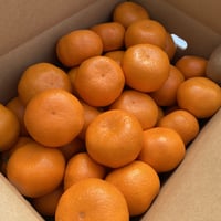 お買い得！ゆら早生みかん 青秀S～L混合 10kg | 和田果樹園