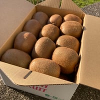 ぷー【最高級品】和歌山県産キウイ6L～7L 9個入り2箱 最高級品】和田果樹園のキウイフルーツ 6L～7L 9個入り | 和田果樹園