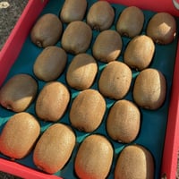 Honey　芯が甘い！【二級品】和歌山県産キウイ5〜7L 15個入り2箱 最高級品】キウイフルーツ 6L～7L 9個入り | 和田果樹園