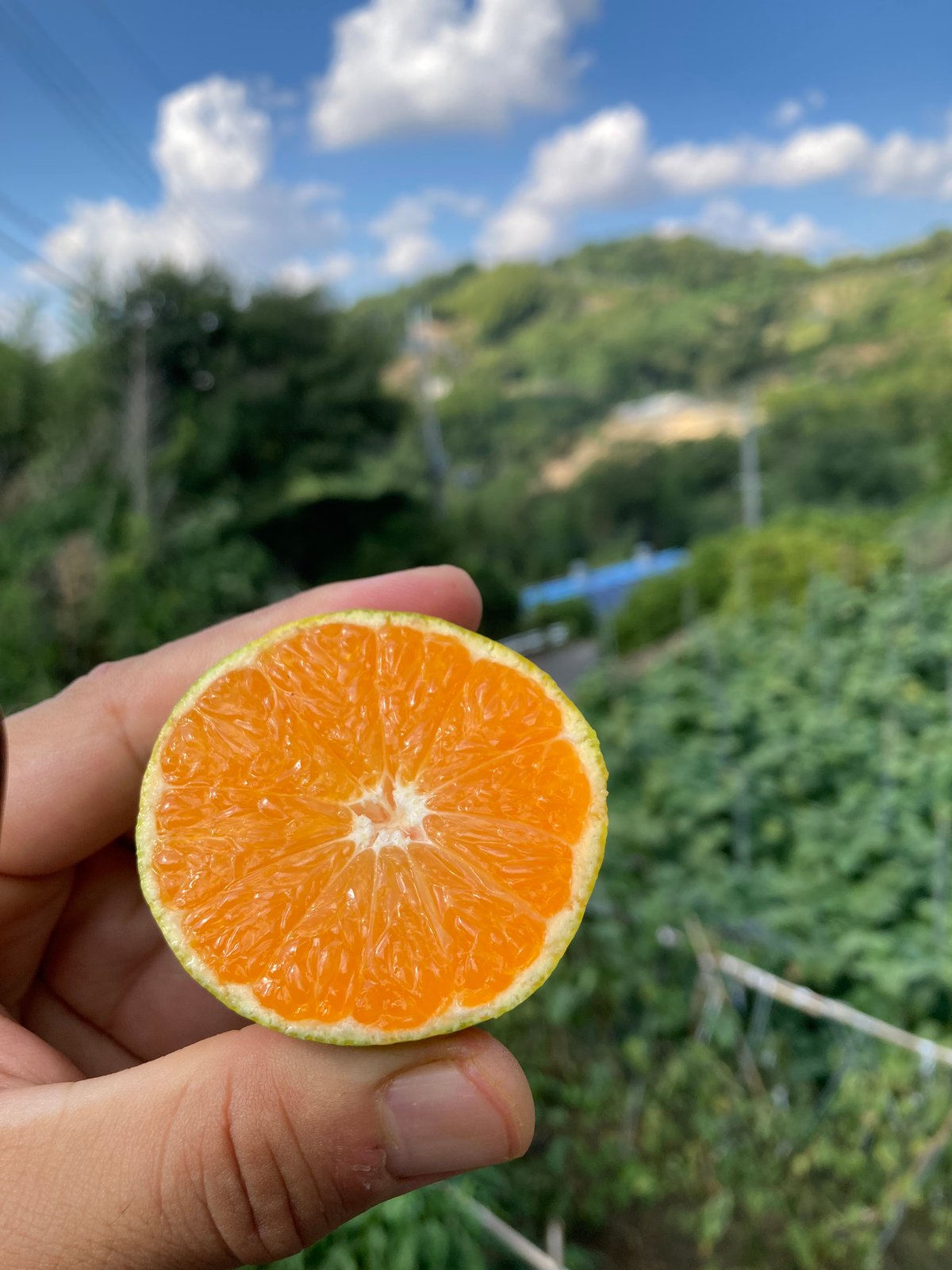 fit=scale-down,w=1200