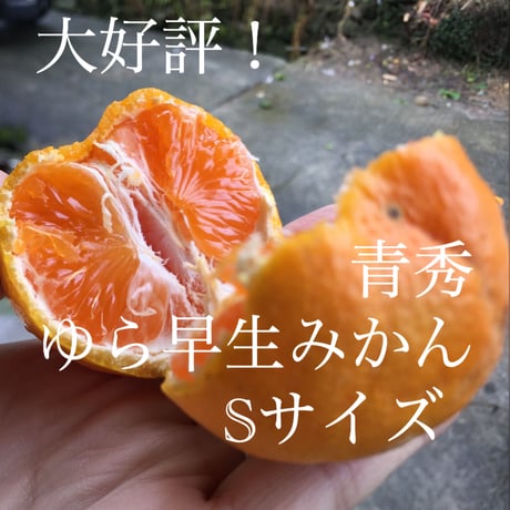 CATEGORY 果物 | 和田果樹園