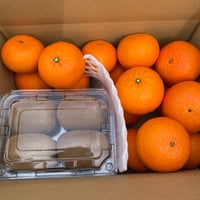 ゆず【訳あり品】日焼けキウイフルーツ　サイズ混合5kg以上2箱 訳あり品】日焼けキウイフルーツ サイズ混合5kg以上 | 和田果樹園