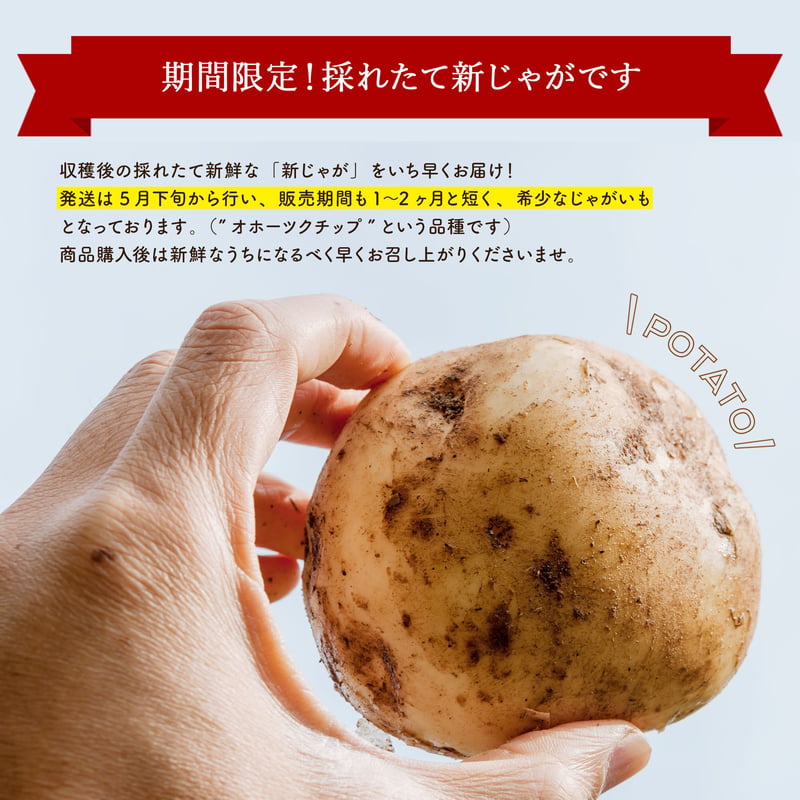 予約販売】「増量キャンペーン」 じゃがいも 3kg 新じゃが オホーツク