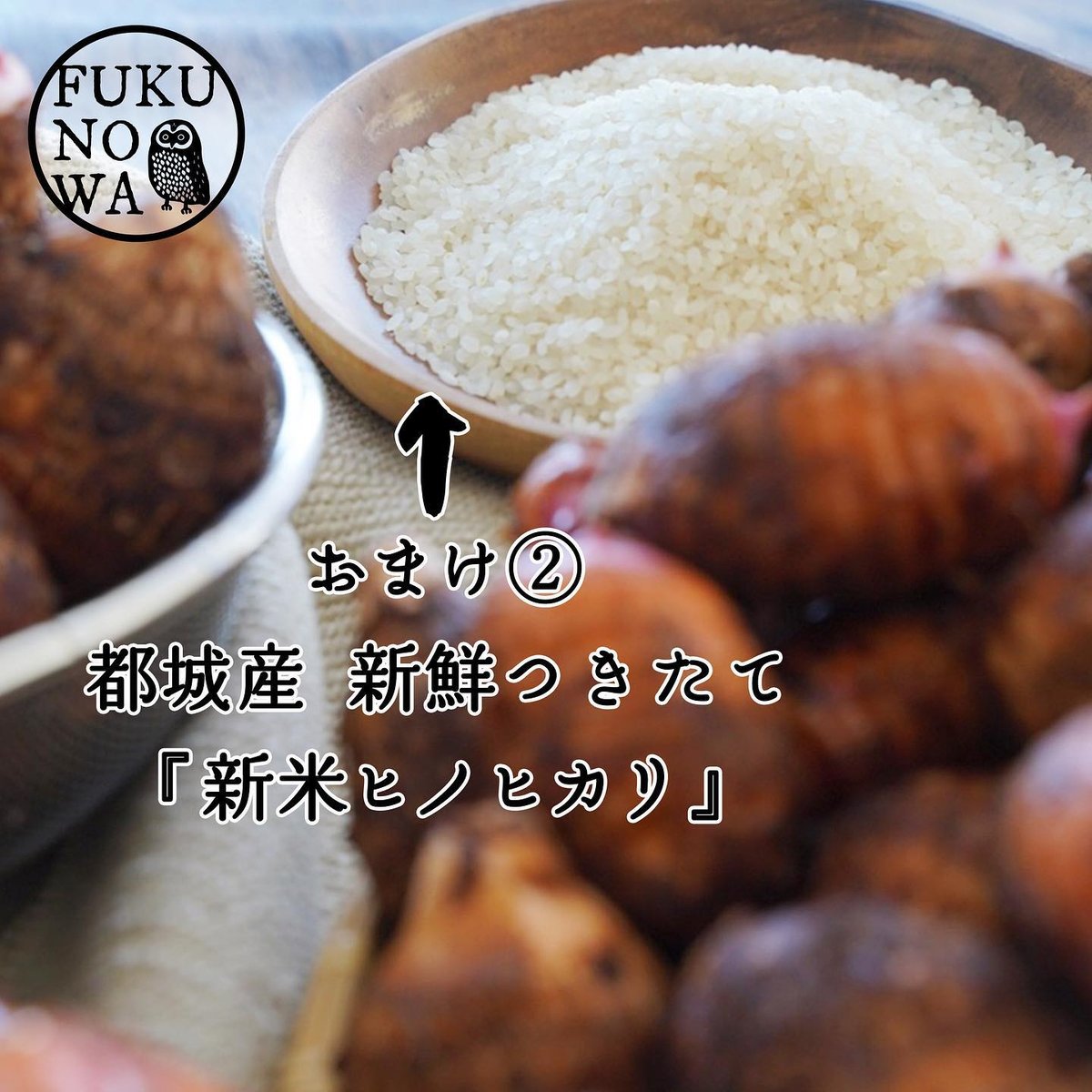 送料無料&増量キャンペーン】里芋 赤芽芋 セレベス 3kg 宮崎県産