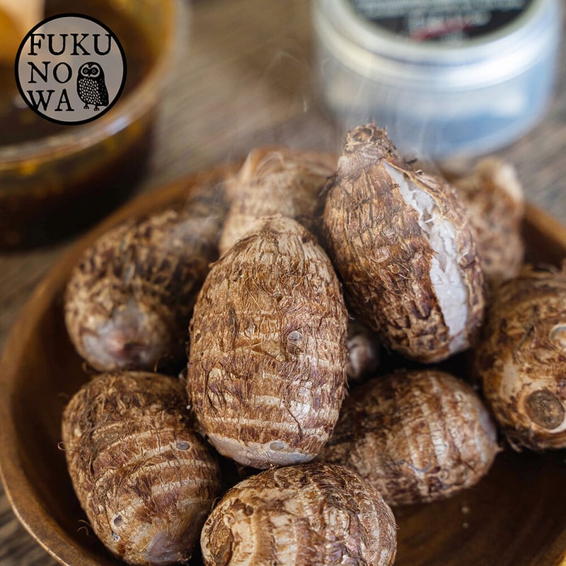 送料無料&増量キャンペーン】里芋 赤芽芋 セレベス 1kg 宮崎県産