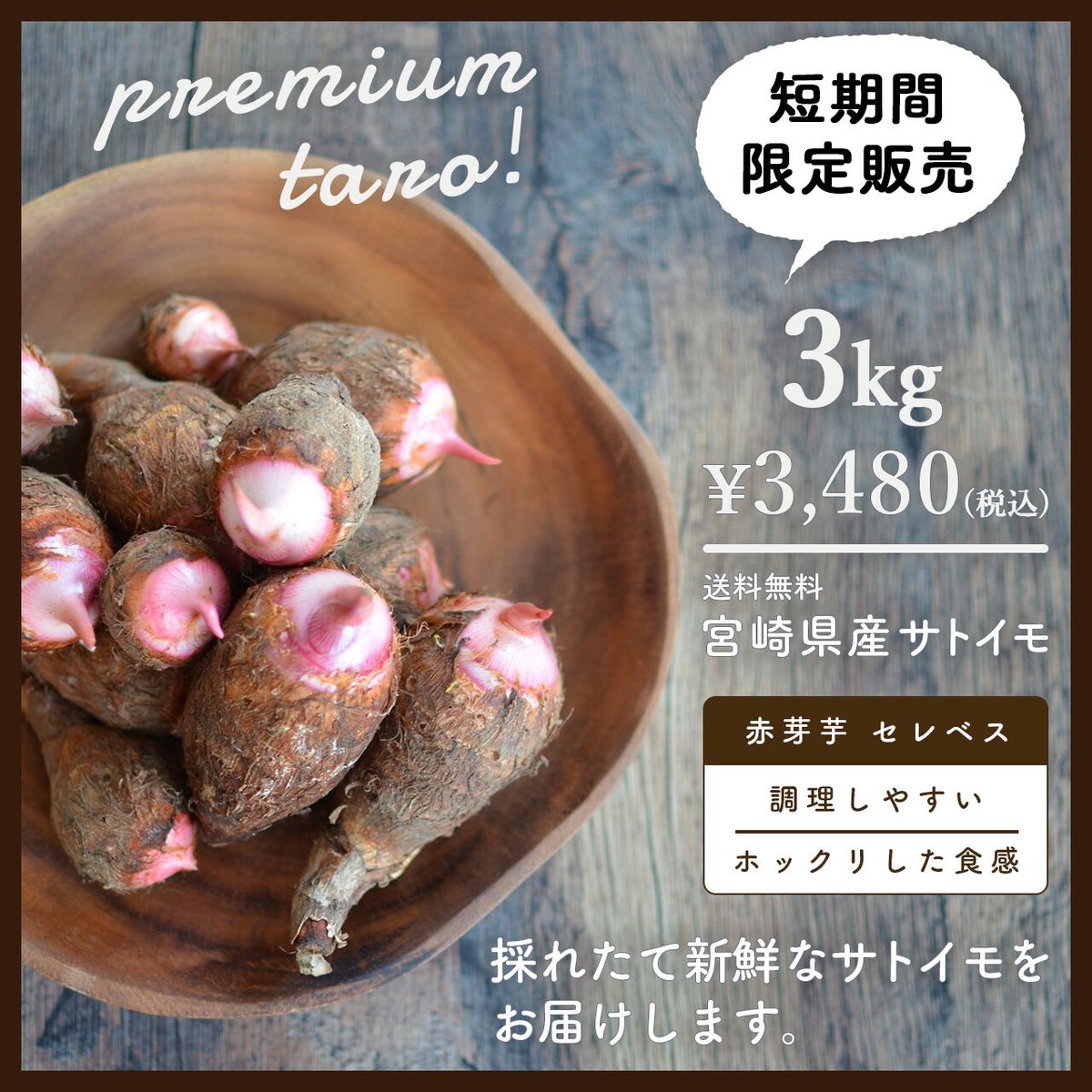 送料無料&増量キャンペーン】里芋 赤芽芋 セレベス 3kg 宮崎県産 送料無料&増量キャンペーン】里芋 赤芽芋 セレベス 3kg 宮崎県産