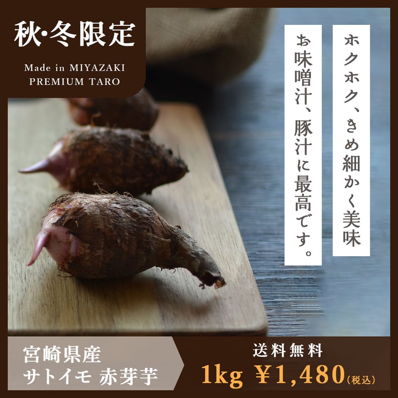 送料無料&増量キャンペーン】里芋 赤芽芋 セレベス 1kg 宮崎県産