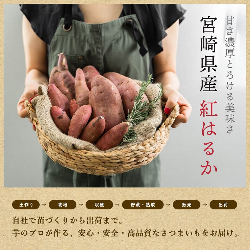送料無料&増量キャンペーン】さつまいも 紅はるか 3kg 宮崎県産 熟成