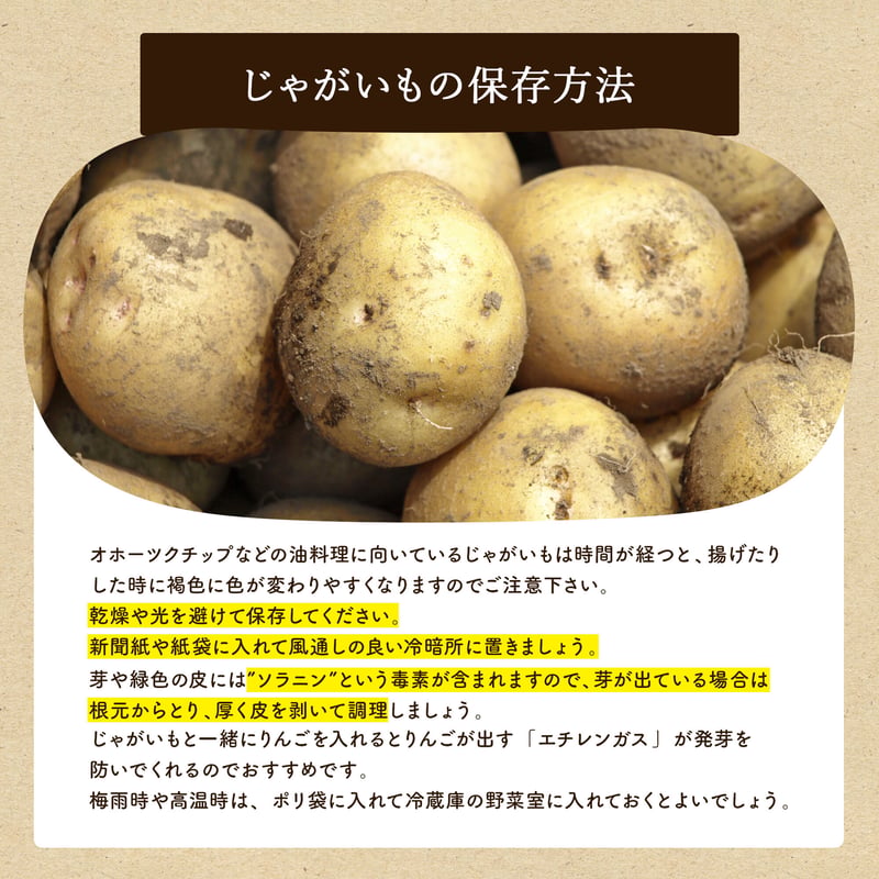 予約販売】「増量キャンペーン」 じゃがいも 3kg 新じゃが オホーツク