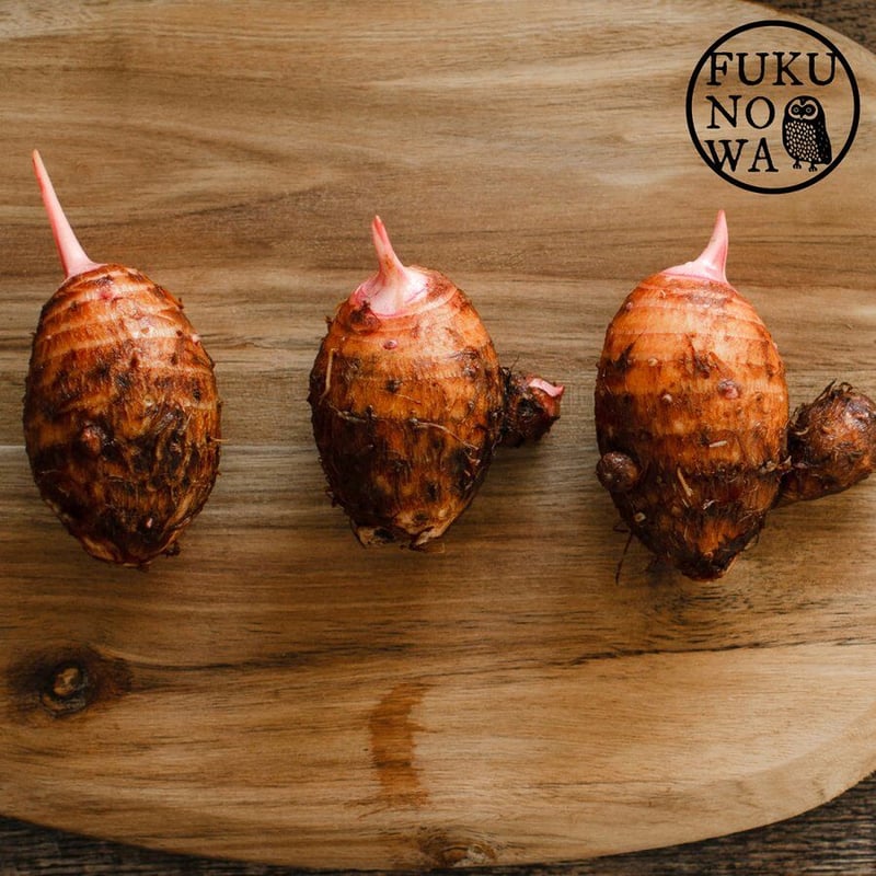 送料無料&増量キャンペーン】里芋 赤芽芋 セレベス 1kg 宮崎県産