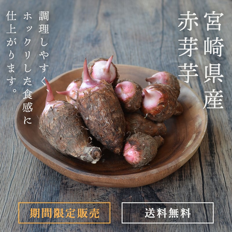 送料無料&増量キャンペーン】里芋 赤芽芋 セレベス 1kg 宮崎県産