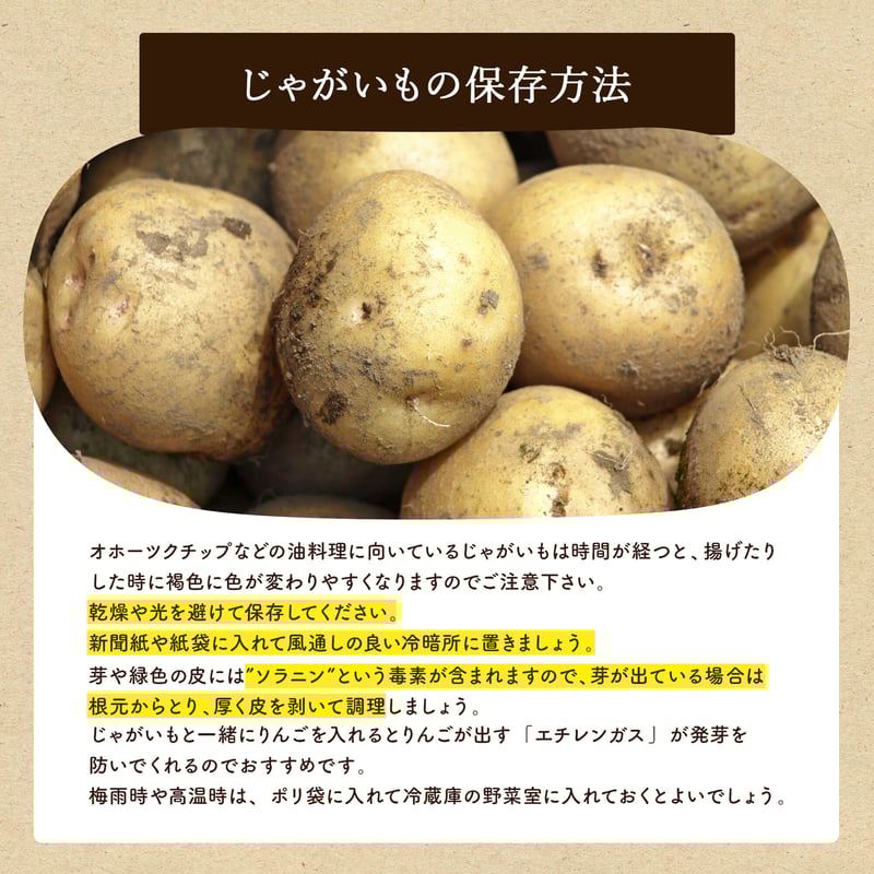 予約販売】「増量キャンペーン」 じゃがいも 5kg 新じゃが オホーツク