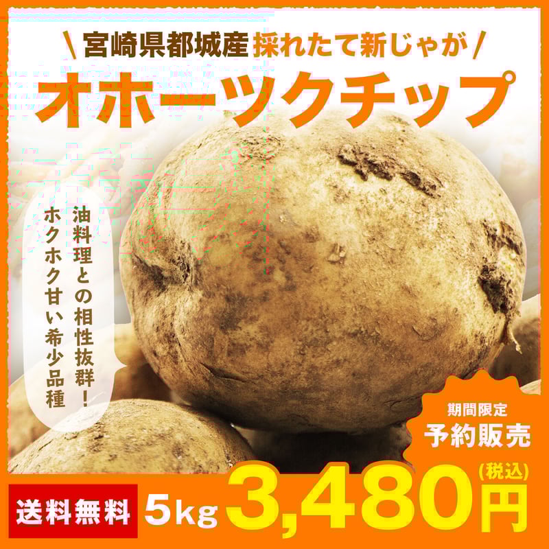 予約販売】「増量キャンペーン」 じゃがいも 5kg 新じゃが オホーツク