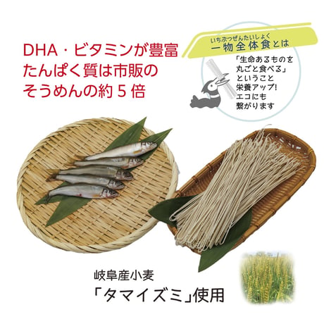 献上鮎そーめんセット（鮎そーめん4袋）