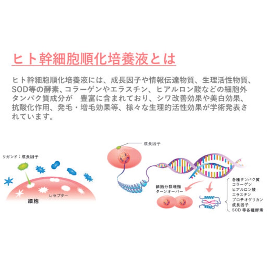 626e5a1784ec6e7a39592662