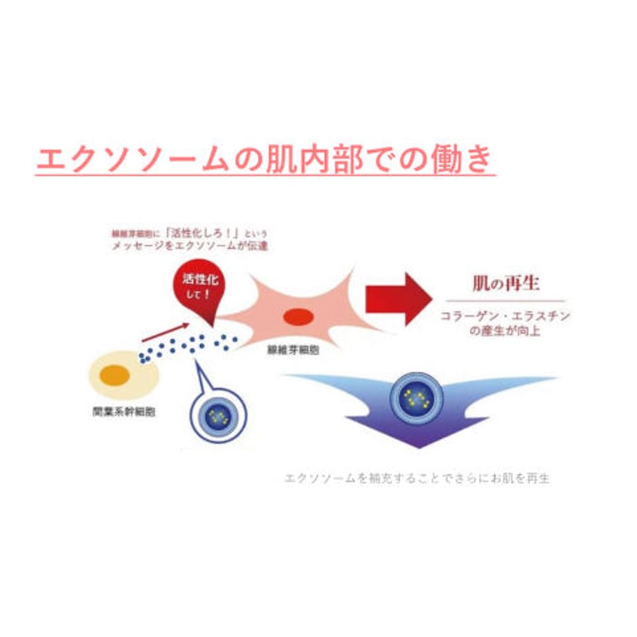 626e5a1784ec6e7a39592662