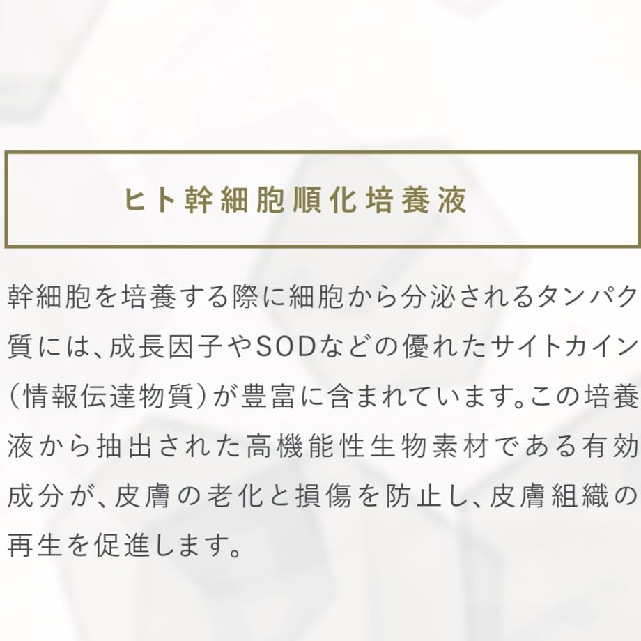 642a2ddcb4982d1485b21544