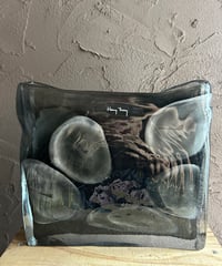 【 Henry Dean 】Square meduse