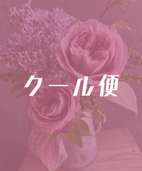 クール便送料