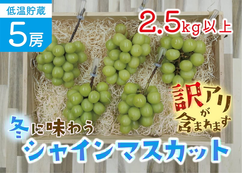訳アリ】冬に味わうシャインマスカット・低温貯蔵5房セット｜2．5kg