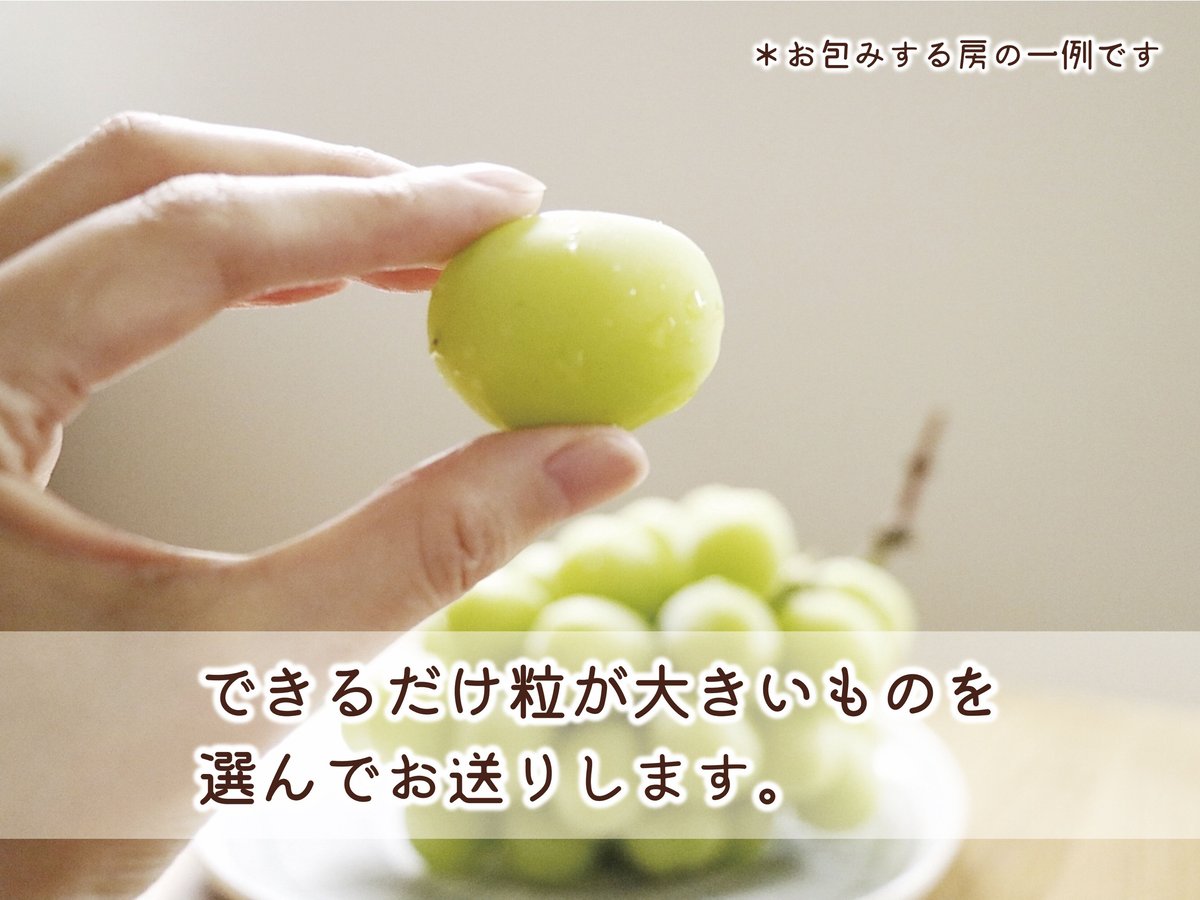 常温配送】ご自宅の食卓に彩りを添えるシャインマスカット・3房セット