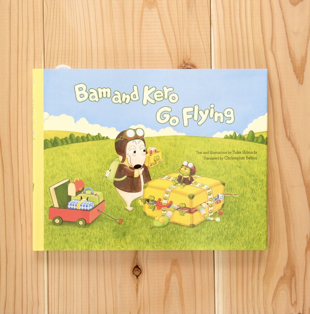 Bam and Kero Go Flying ／（邦題）バムとケロのそらのたび | えほんの