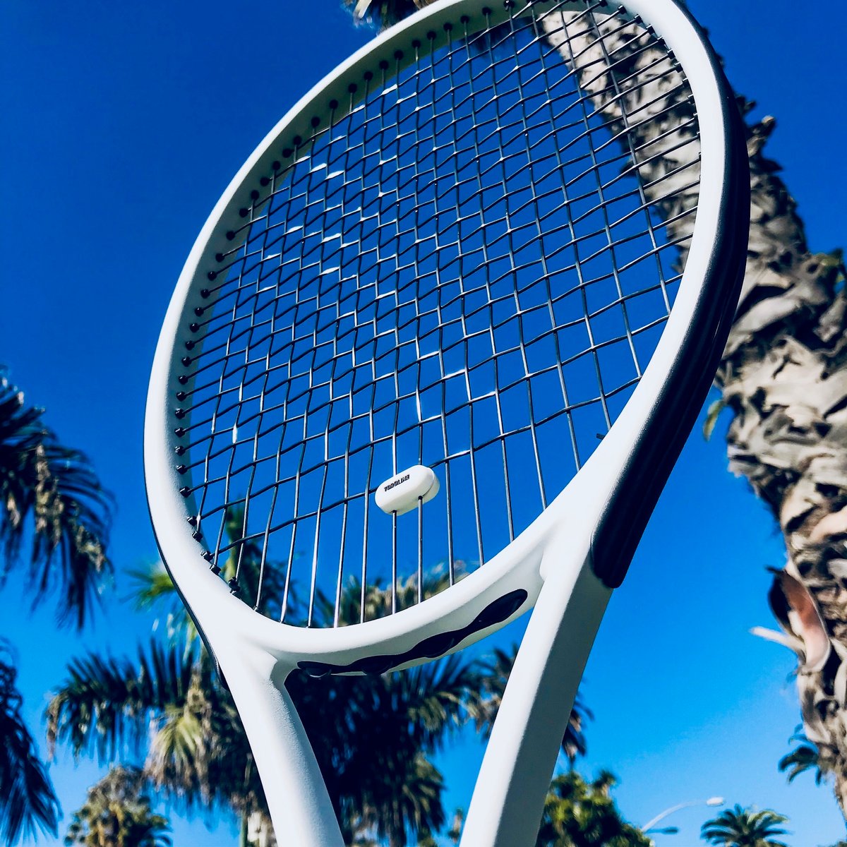 お得なお試しセット-2本】CAVIAR（キャビア）・ABSOLUTE