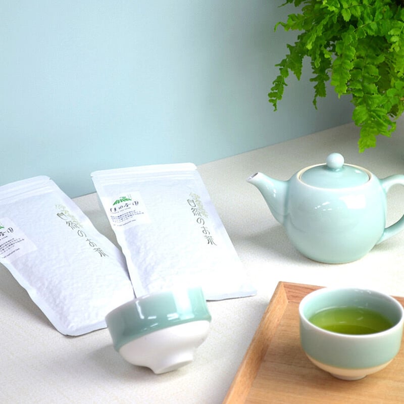 鍋島青磁 ポット | 鍋島 虎仙窯オンラインストア