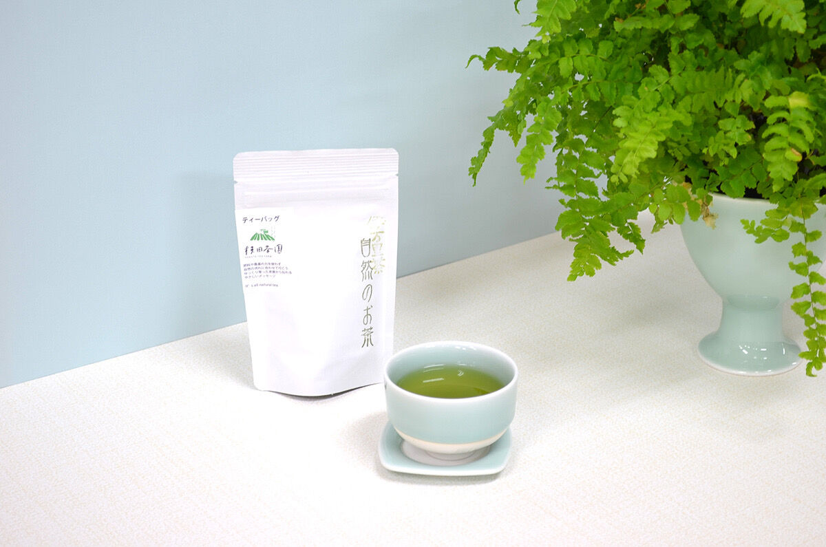 鍋島青磁煎茶碗（単品） | 鍋島 虎仙窯オンラインストア