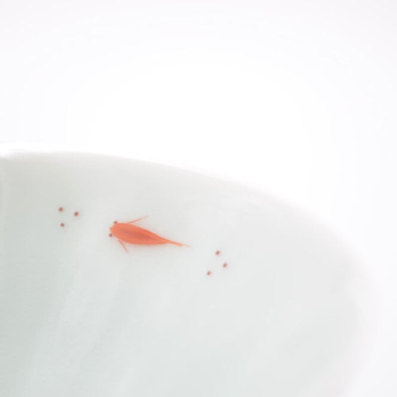 青白磁メダカ平茶碗 | 鍋島 虎仙窯オンラインストア