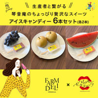 アイスキャンディー 6本セット(各2本)