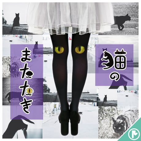 猫のまたたき | STORES