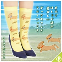【アニマル】CS-0271【ミニチュア ダックスフンド】クルーソックス